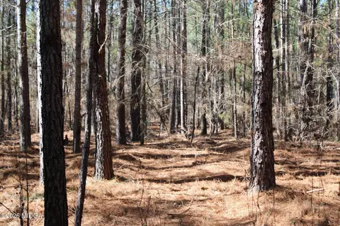 00 Highway 341 N, Roberta, GA 31078 photo 12