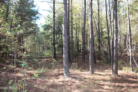 00 Highway 341 N, Roberta, GA 31078 photo 7