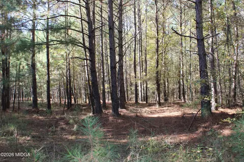 00 Highway 341 N, Roberta, GA 31078 photo 8