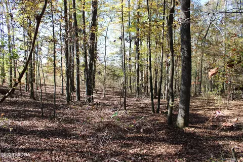 00 Highway 341 N, Roberta, GA 31078 photo 10