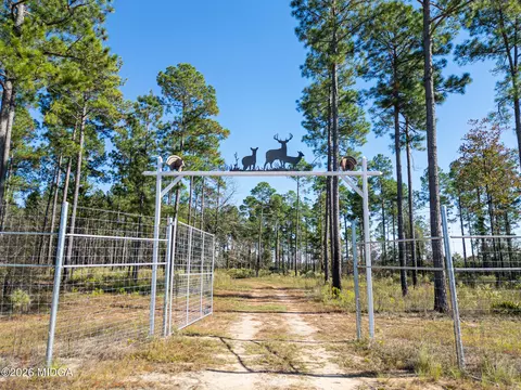 0 Fall Line High Fence, Ellaville, GA 31806