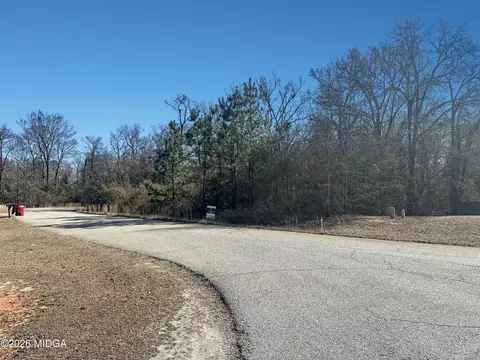 317 Hawk Ct, Macon, GA 31216