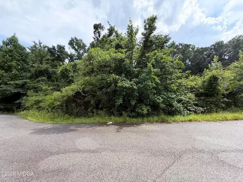 317 Hawk Ct, Macon, GA 31216 photo 4