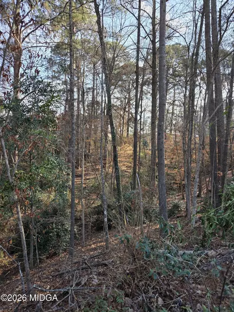 1987 Long Ridge Dr, Macon, GA 31211