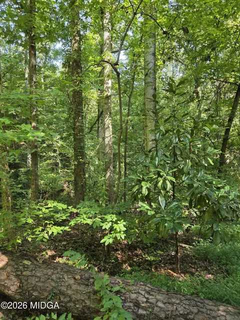 1898 Wood Valley Rd, Macon, GA 31211