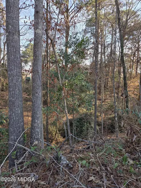 1976 Long Ridge Dr, Macon, GA 31211