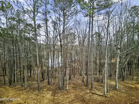 4156 Upper River Rd, Gray, GA 31032 photo 10