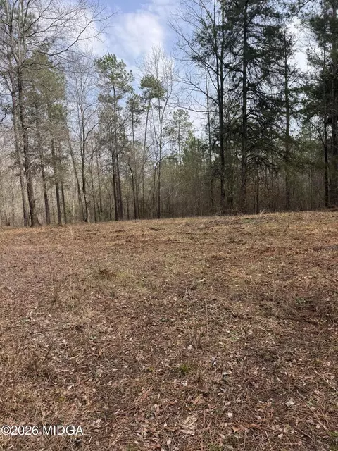 0 Highway 87, Juliette, GA 31046