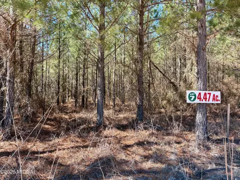0 Rock Springs Rd, Glenwood, GA 30428
