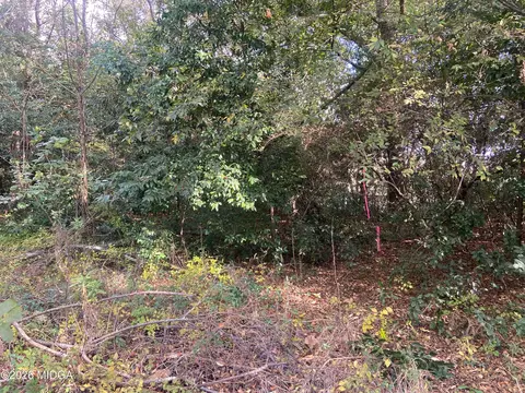 0 Moseley Rd, Byron, GA 31008 photo 10