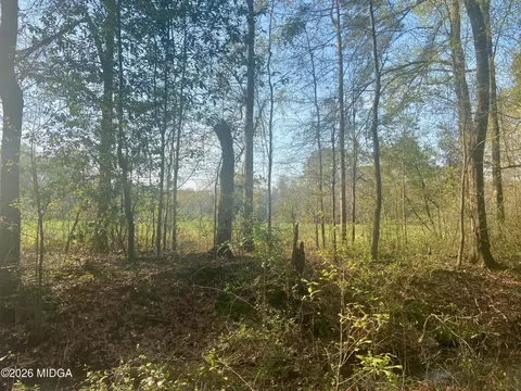 0 Moseley Rd, Byron, GA 31008 photo 6