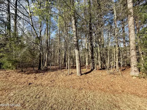 Undisclosed, Forsyth, GA 31029 photo 2