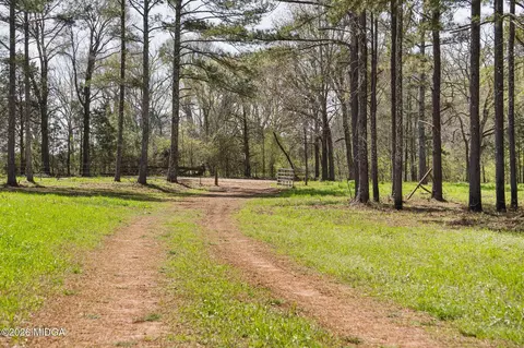 449 Mcmullen Rd, Forsyth, GA 31029 photo 4