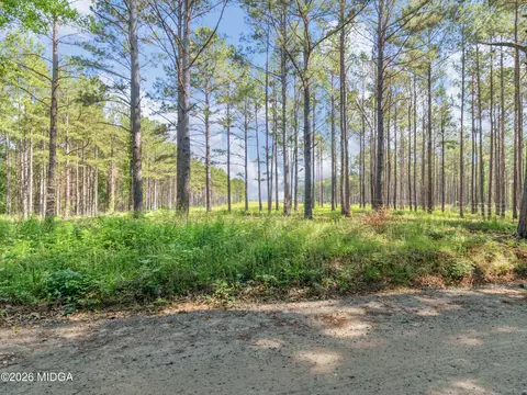 449 Mcmullen Rd, Forsyth, GA 31029 photo 7