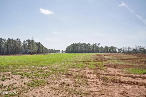 449 Mcmullen Rd, Forsyth, GA 31029 photo 5
