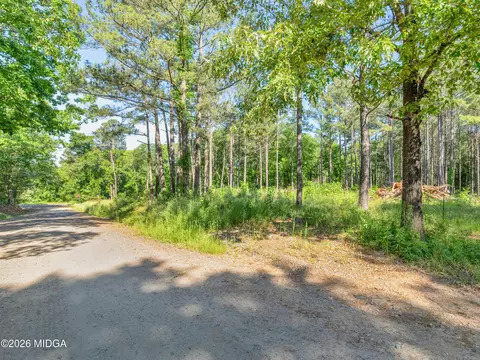 449 Mcmullen Rd, Forsyth, GA 31029 photo 10
