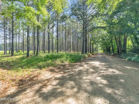 449 Mcmullen Rd, Forsyth, GA 31029 photo 6