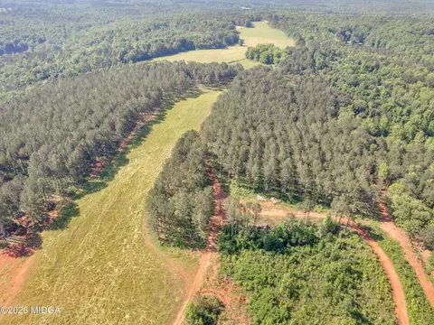 449 Mcmullen Rd, Forsyth, GA 31029 photo 17