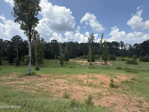 Undisclosed, Forsyth, GA 31029 photo 2