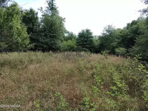 4400 Davis Rd, Macon, GA 31217 photo 3