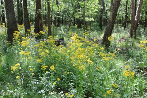 00 Ruffner Rd #00, Barnesville, GA 30204 photo 41