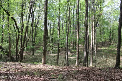 00 Ruffner Rd #00, Barnesville, GA 30204 photo 33