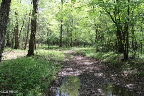 00 Ruffner Rd #00, Barnesville, GA 30204 photo 22
