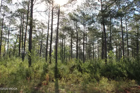 00 Ruffner Rd #00, Barnesville, GA 30204 photo 32