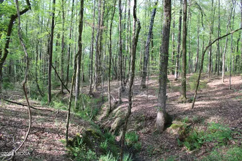 00 Ruffner Rd #00, Barnesville, GA 30204 photo 2
