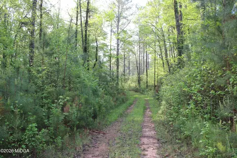 00 Ruffner Rd #00, Barnesville, GA 30204 photo 44