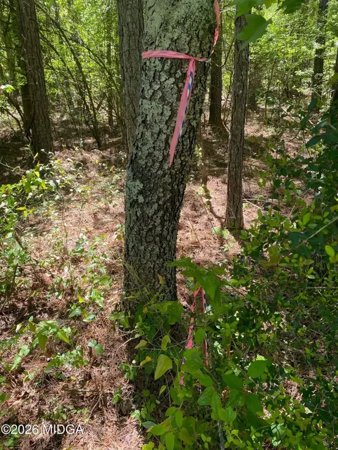 0 Maynards Mill Rd #PARCEL 7, Forsyth, GA 31029