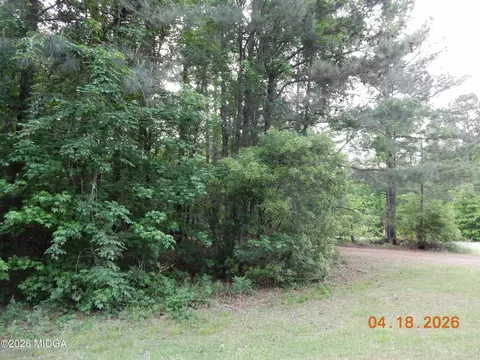 1065 Dent Rd, Musella, GA 31066 photo 2