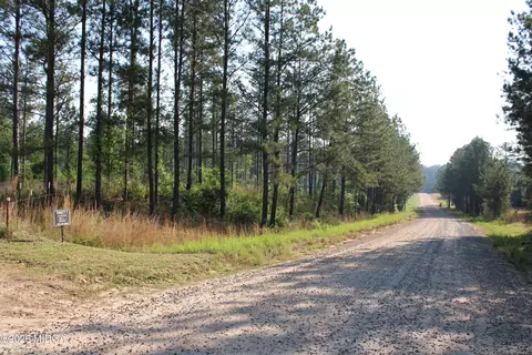0 Watson Rd E #7, Forsyth, GA 31029 photo 7