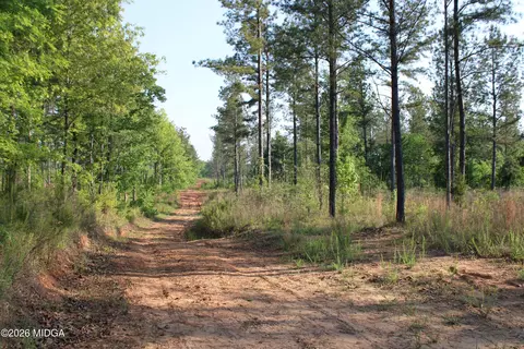 0 Watson Rd E #7, Forsyth, GA 31029 photo 8