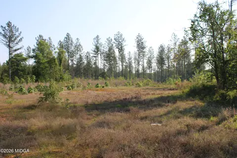 0 Watson Rd E #7, Forsyth, GA 31029 photo 4