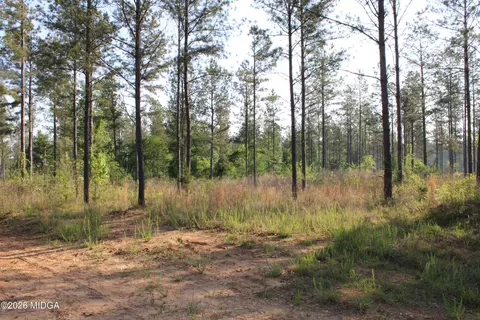 0 Watson Rd E #7, Forsyth, GA 31029 photo 2