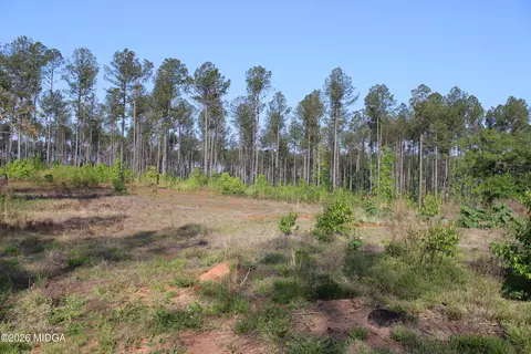 0 Watson Rd E #7, Forsyth, GA 31029 photo 5