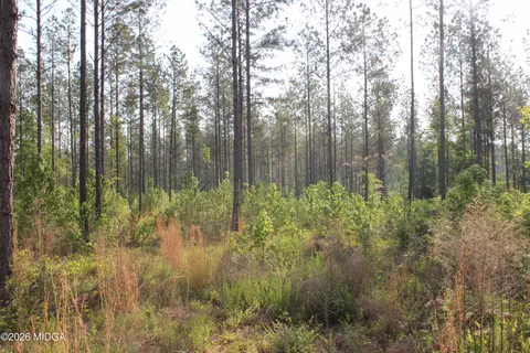 0 Watson Rd E #7, Forsyth, GA 31029 photo 3
