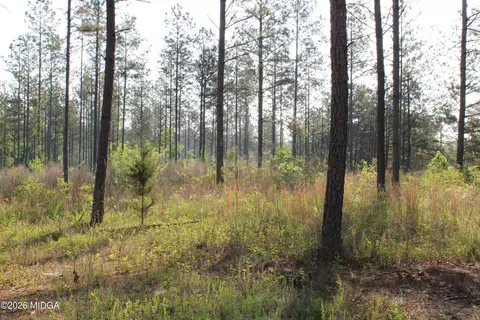 0 Watson Rd E #7, Forsyth, GA 31029 photo 6