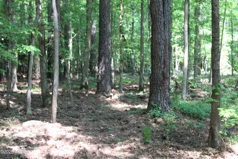 000 Hwy 87 Tract 3, Forsyth, GA 31029