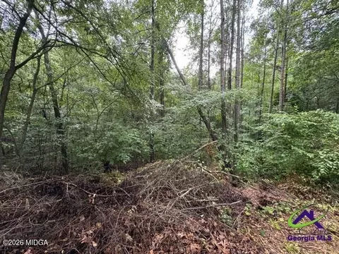 172 Waters Pt, Lizella, GA 31052