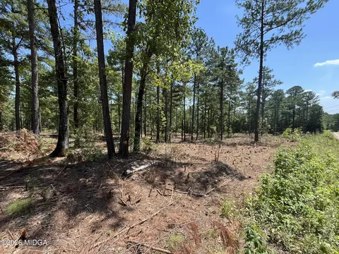 lot17 Gordon Rd, Forsyth, GA 31029