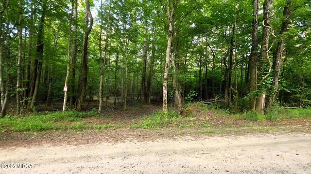 lot18 Gordon Rd, Forsyth, GA 31029