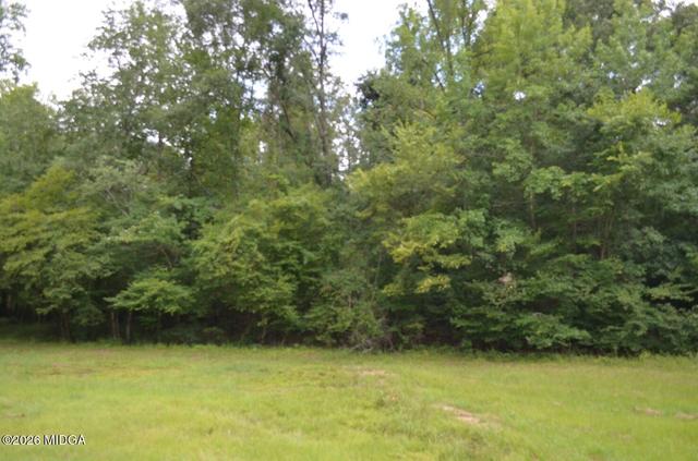 lot13 Cardiff Dr, Macon, GA 31220