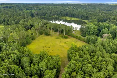 1060 Cooks Mill Rd, Oglethorpe, GA 31068 photo 78