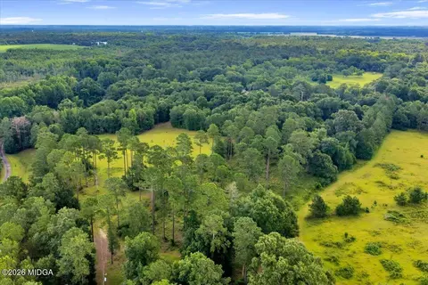 1060 Cooks Mill Rd, Oglethorpe, GA 31068 photo 79