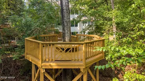1060 Cooks Mill Rd, Oglethorpe, GA 31068 photo 62