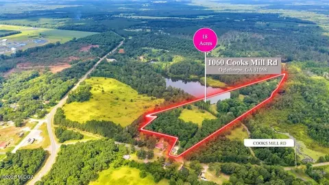 1060 Cooks Mill Rd, Oglethorpe, GA 31068 photo 5