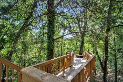 1060 Cooks Mill Rd, Oglethorpe, GA 31068 photo 60