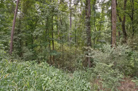 90 Askin Pl, Culloden, GA 31016